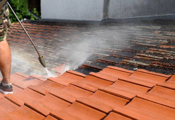 Best Residential Pressure Washing Services  in Mineola, TX