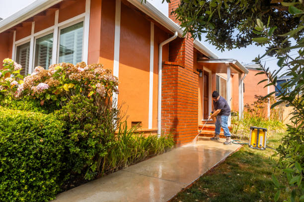 Best Pressure Washing Driveway  in Mineola, TX